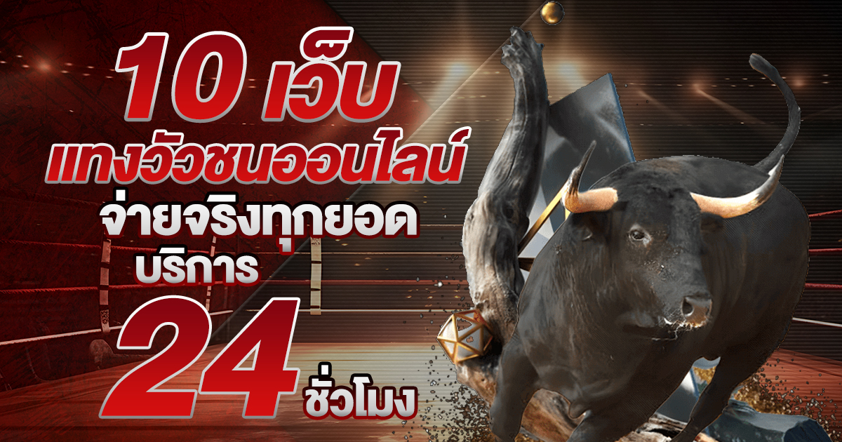 แทงวัวชนออนไลน์