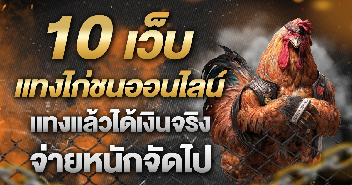 แทงไก่ชนออนไลน์